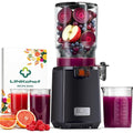 LINKChef Extracteur de jus 1.8 L 250 W Vert Fonction smoothie