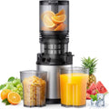 Ruie Extracteur de jus 2 L 250 W Acier inoxydable Rotation